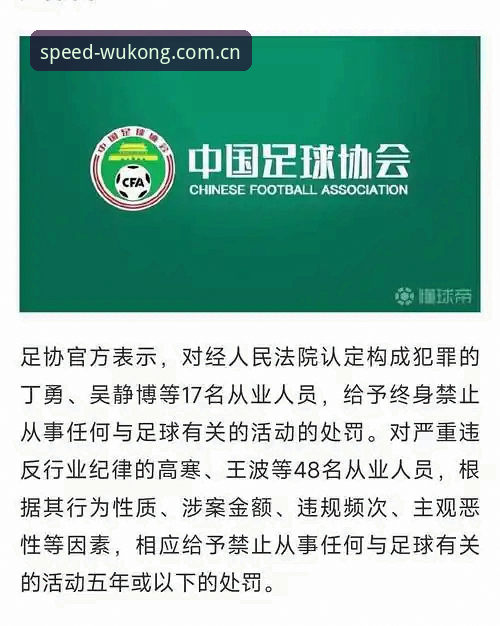 中国足球第三批禁足名单全面解析：从行业乱象到治理新思路